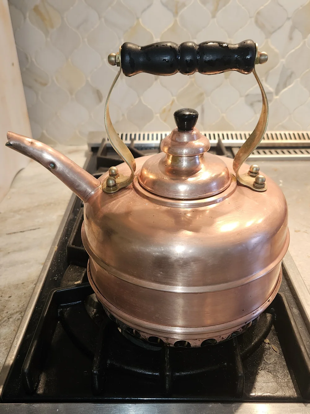 Williams Sonoma simplex copper